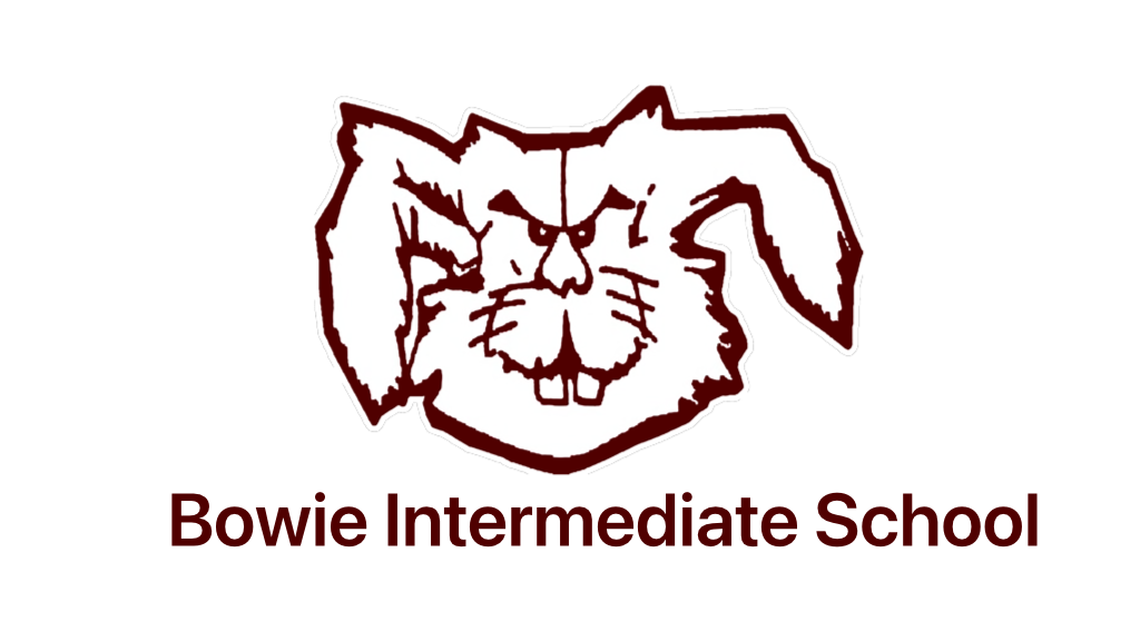 Bowie Intermediate, Bowie, TX