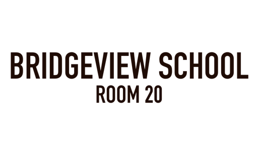 Bridgeview School, Room 20, Bridgeview, IL Bridgeview School, Room 20, Bridgeview, IL