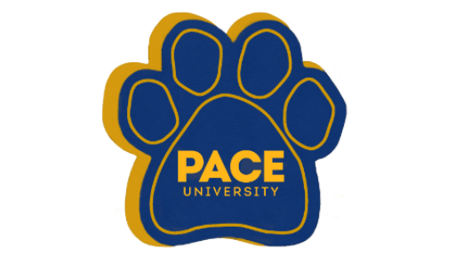 Pace University, New York, NY Pace University, New York, NY